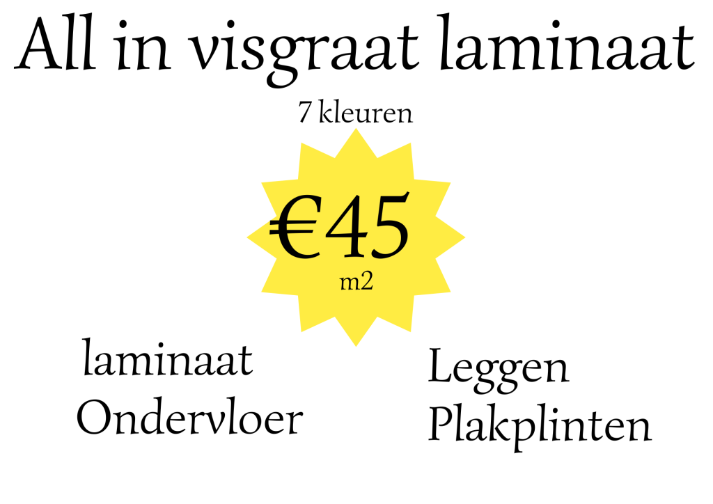 Visgraat Laminaat €45 all in